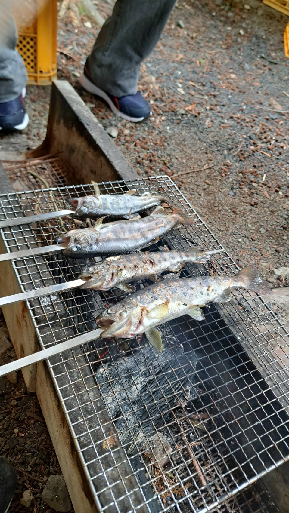 命をいただくということ